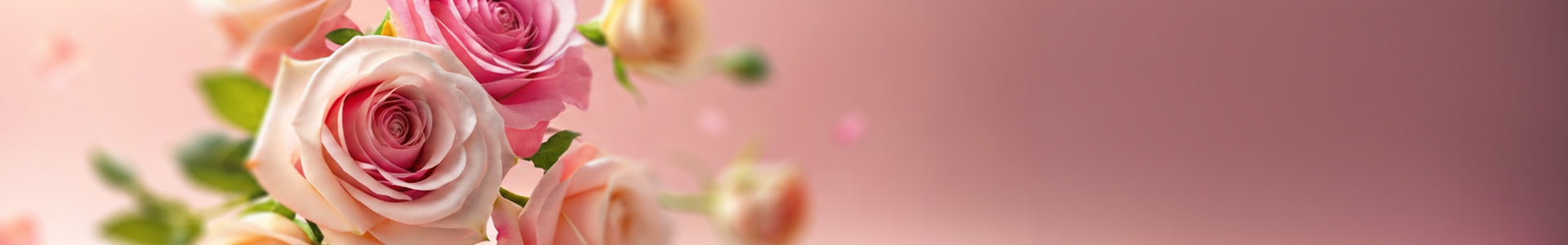 collection-banner-image