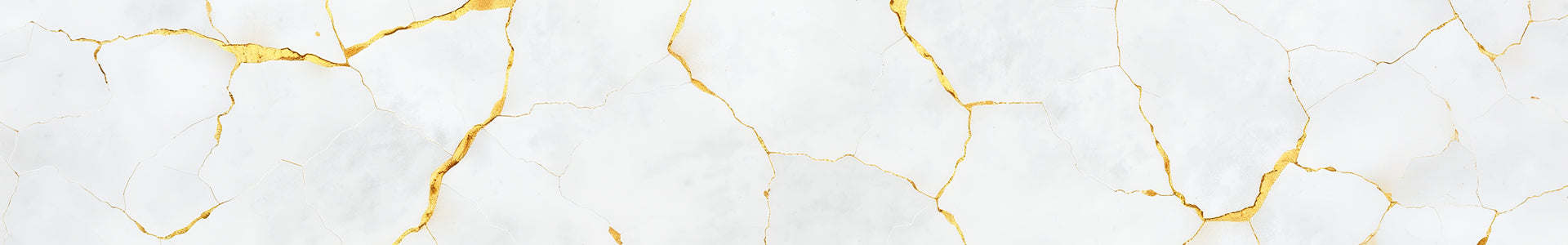 collection-banner-image