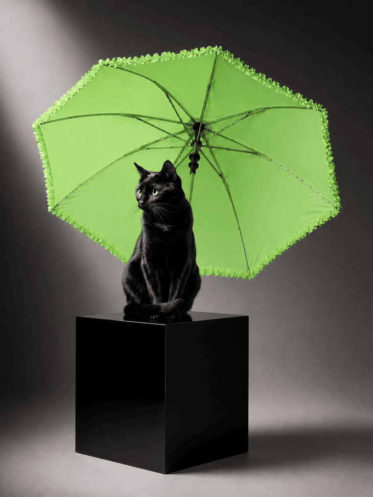 Feature Image