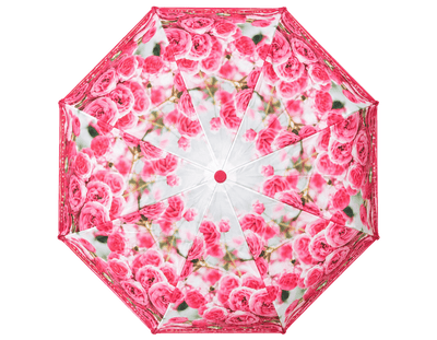 ROSE RIOT